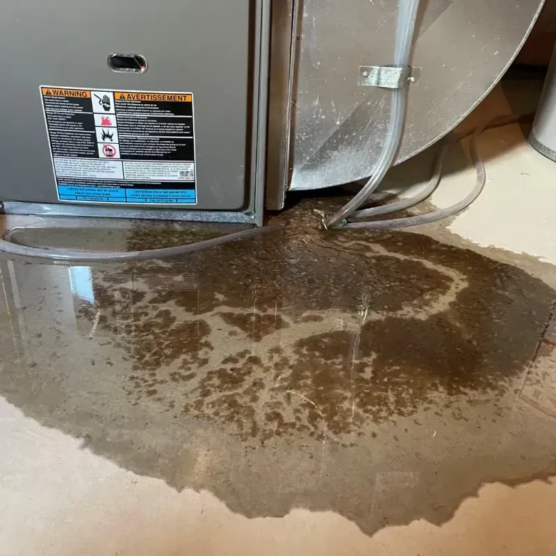 Appliance Leak Cleanup in Franklin, NE